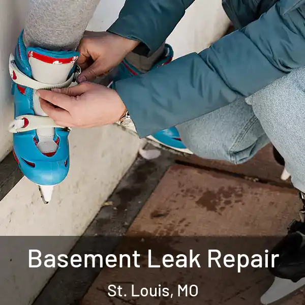  Basement Leak Repair St. Louis, MO