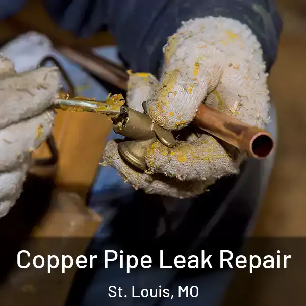  Copper Pipe Leak Repair St. Louis, MO