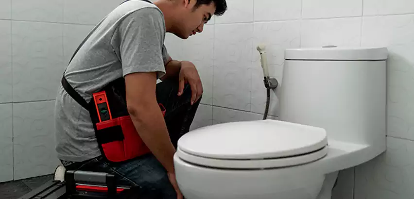 Toilet Repair in St. Louis