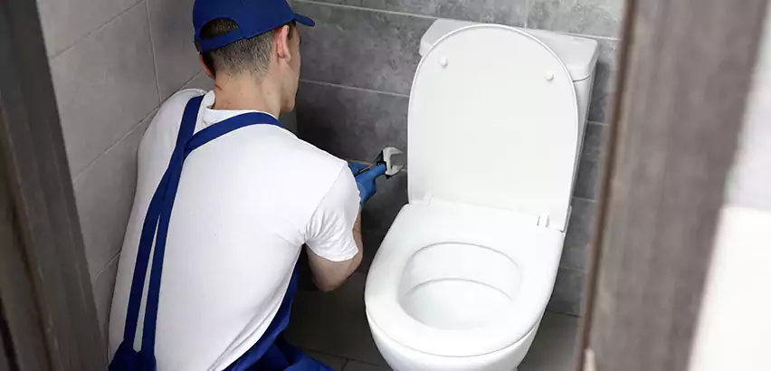 Toilet Lid Replacement in St. Louis