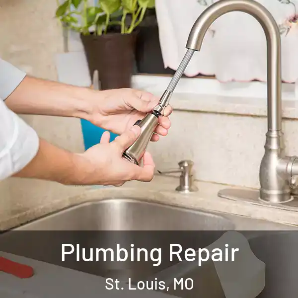  Plumbing Repair St. Louis, MO
