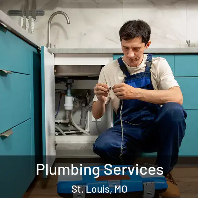 Plumbing Services St. Louis, MO