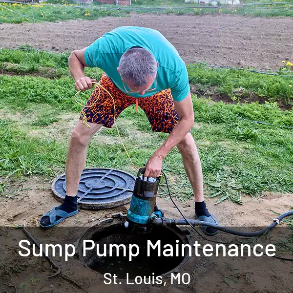  Sump Pump Maintenance St. Louis, MO