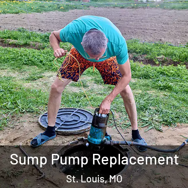  Sump Pump Replacement St. Louis, MO