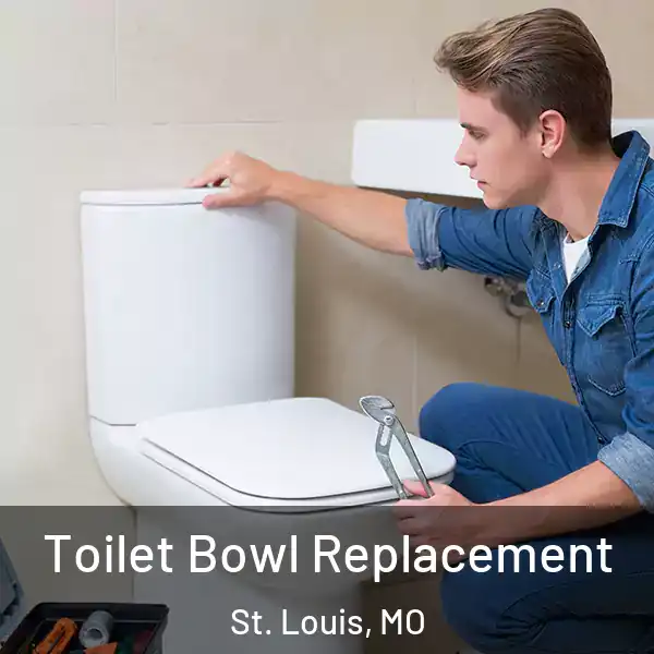  Toilet Bowl Replacement St. Louis, MO