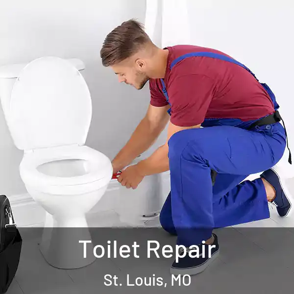  Toilet Repair St. Louis, MO