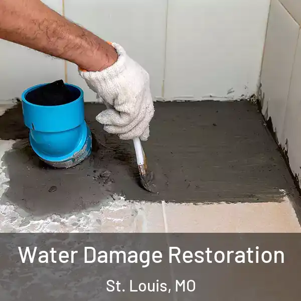  Water Damage Restoration St. Louis, MO