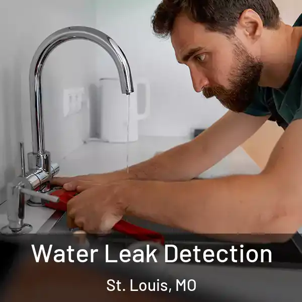  Water Leak Detection St. Louis, MO