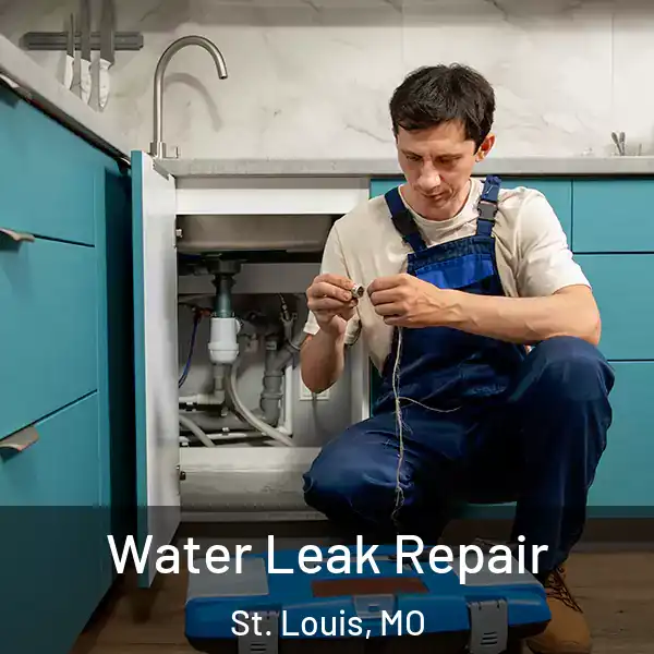  Water Leak Repair St. Louis, MO